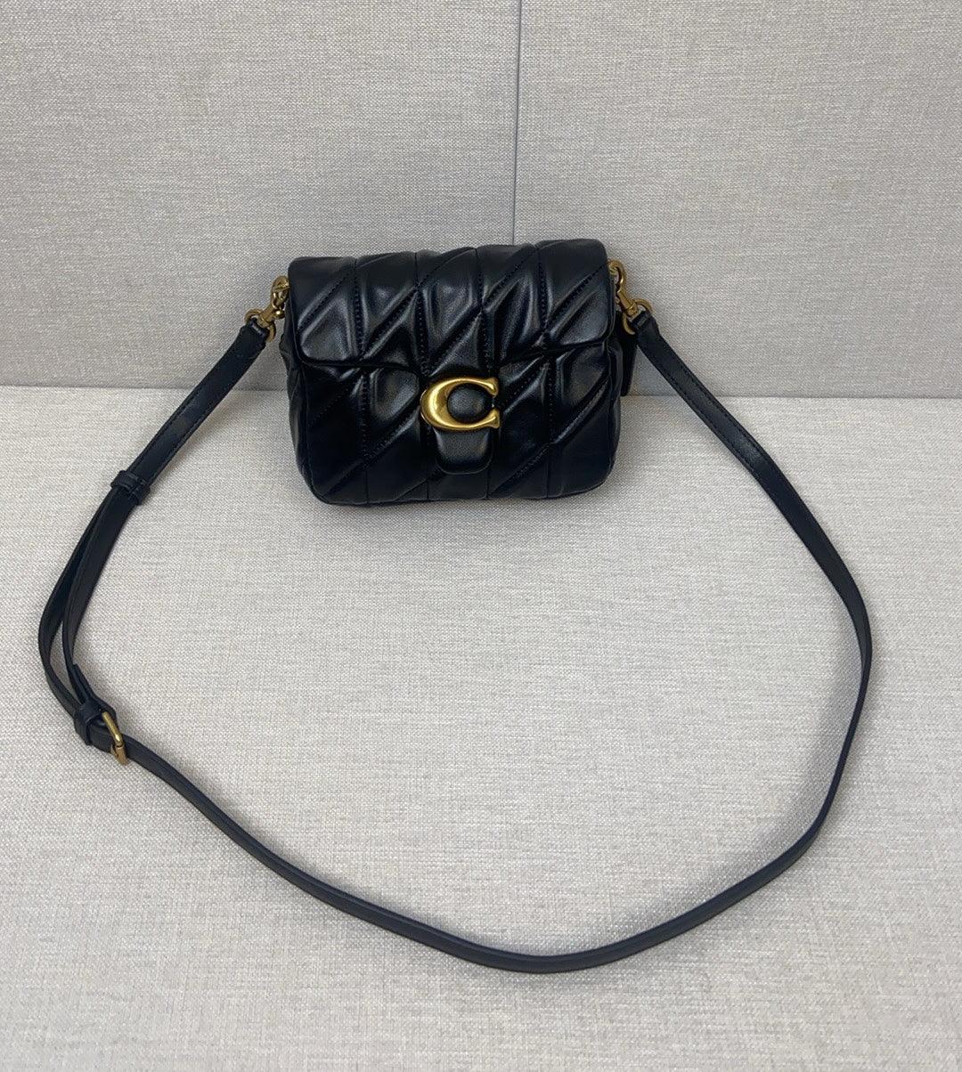 LuxluxHouse Best Quality Bags Coach