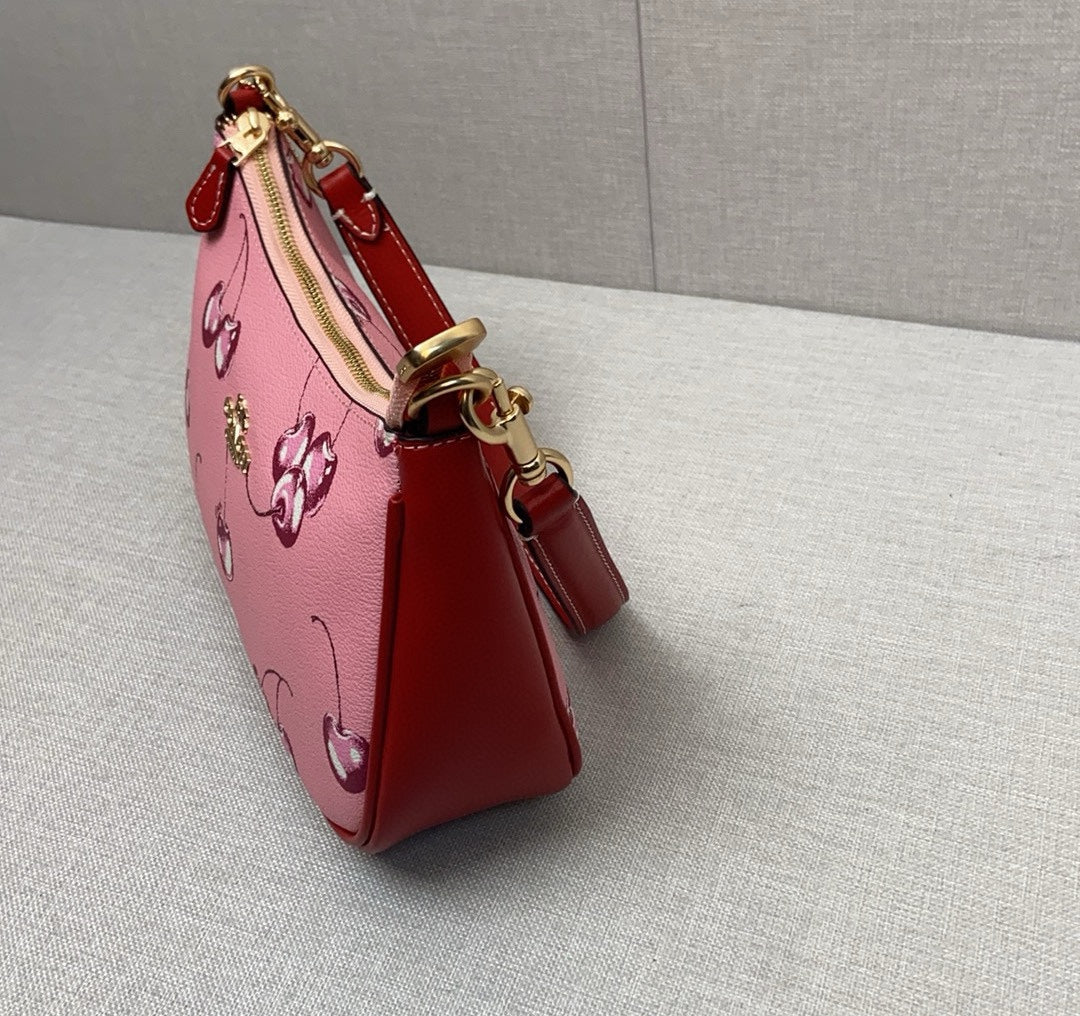 LuxluxHouse Best Quality Bags Coach