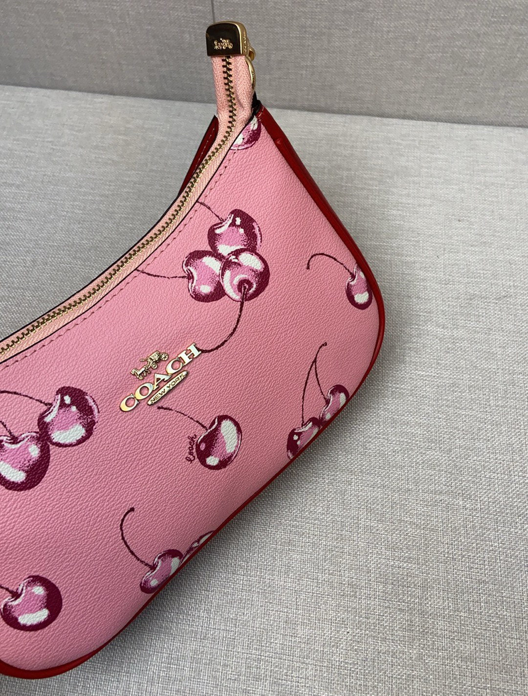 LuxluxHouse Best Quality Bags Coach