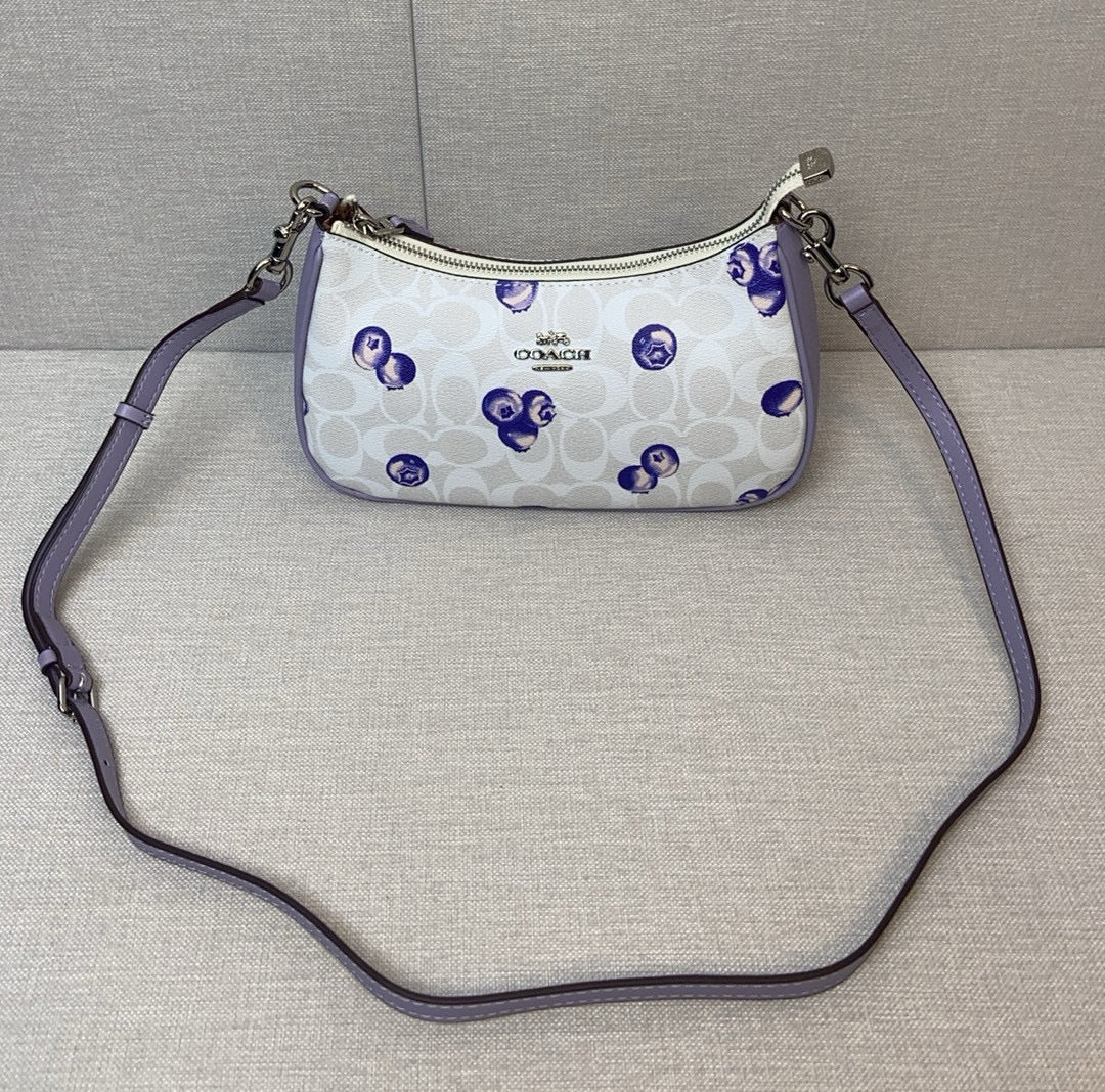 LuxluxHouse Best Quality Bags Coach