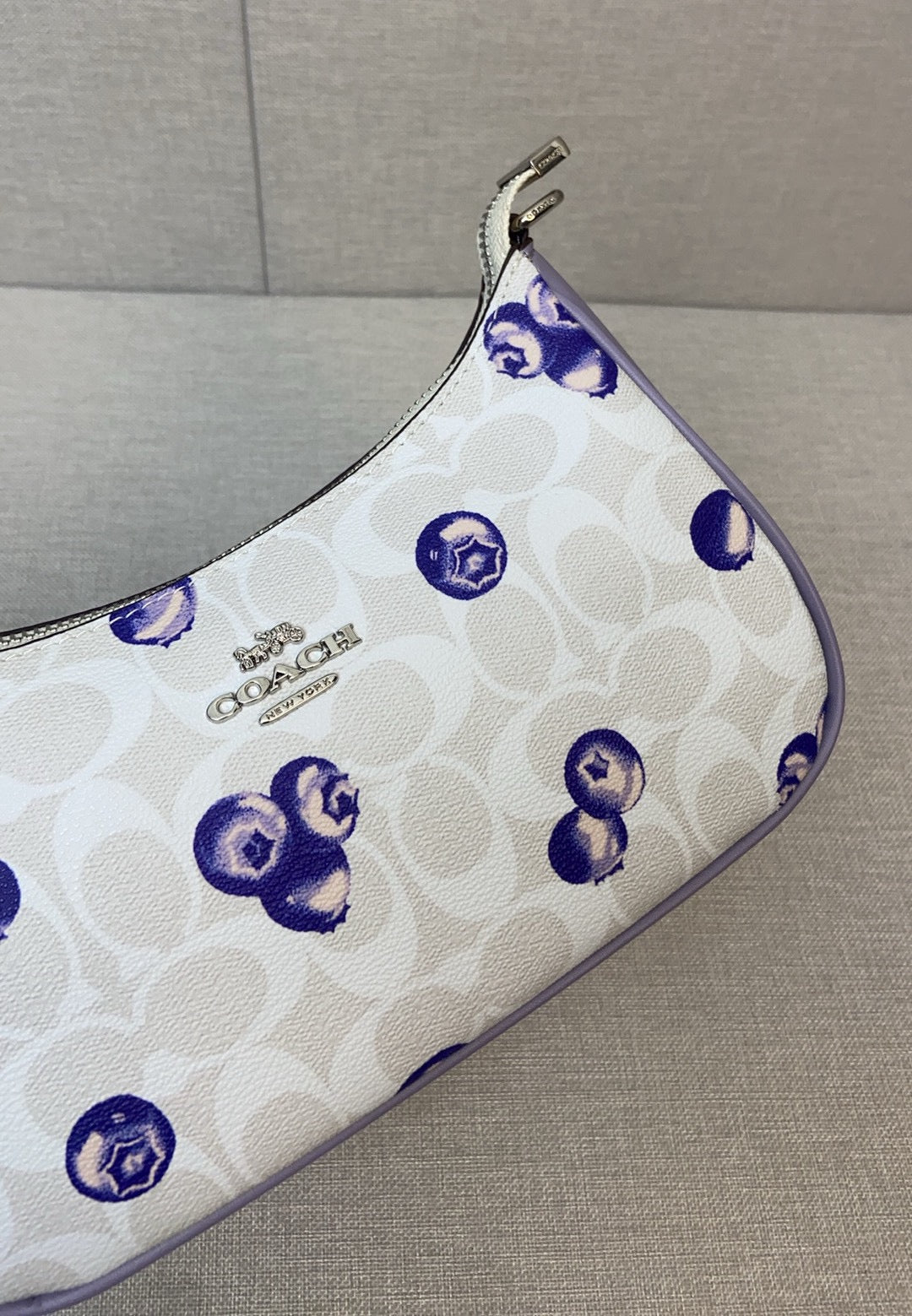 LuxluxHouse Best Quality Bags Coach
