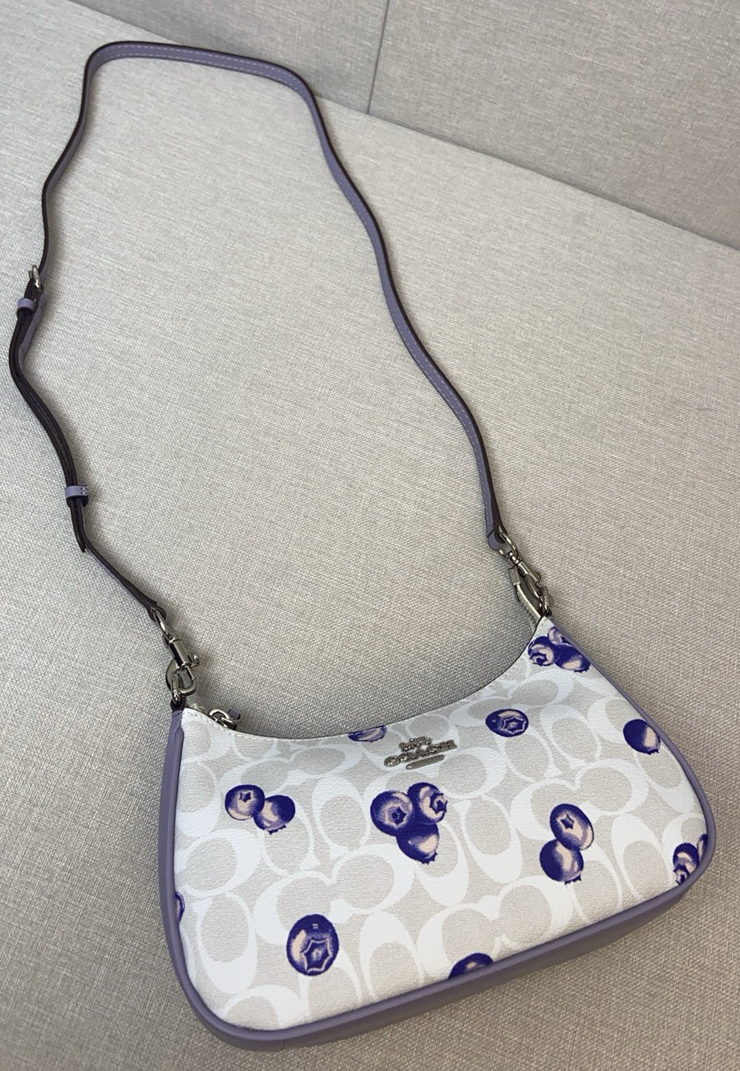 LuxluxHouse Best Quality Bags Coach