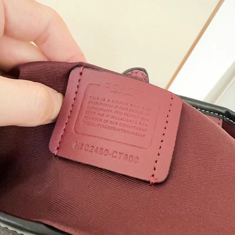LuxluxHouse Best Quality Bags Coach