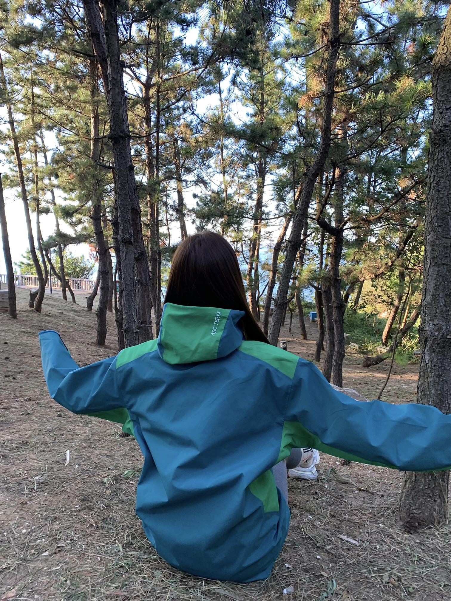 LuxluxHouse Best Quality Clothes Coats & Jackets Arcteryx