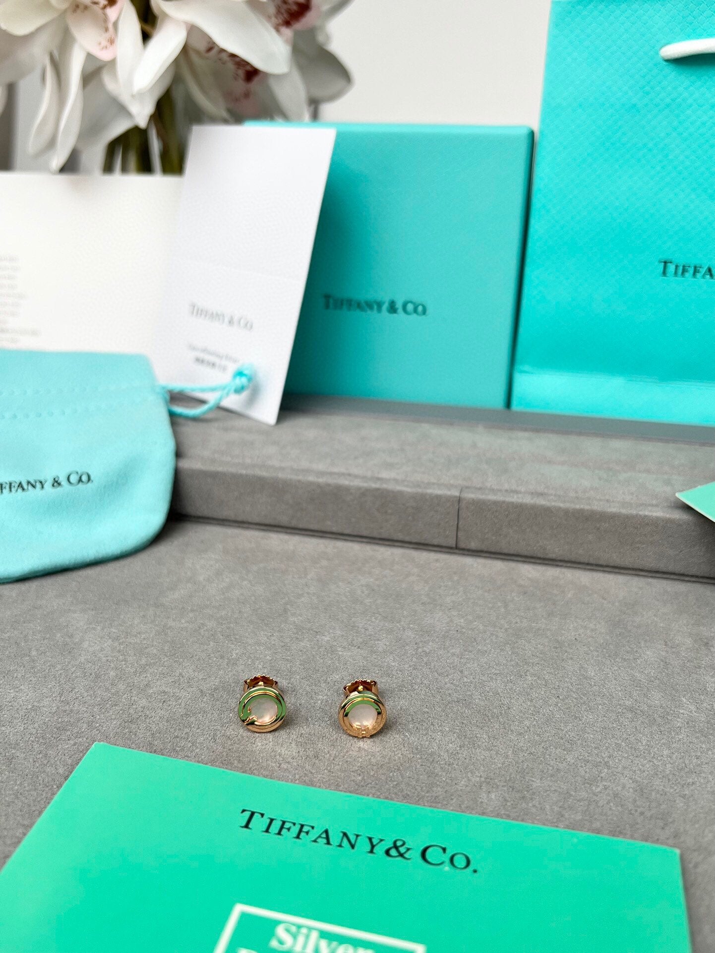 LuxluxHouse Best Quality Accessories Tiffany Earrings
