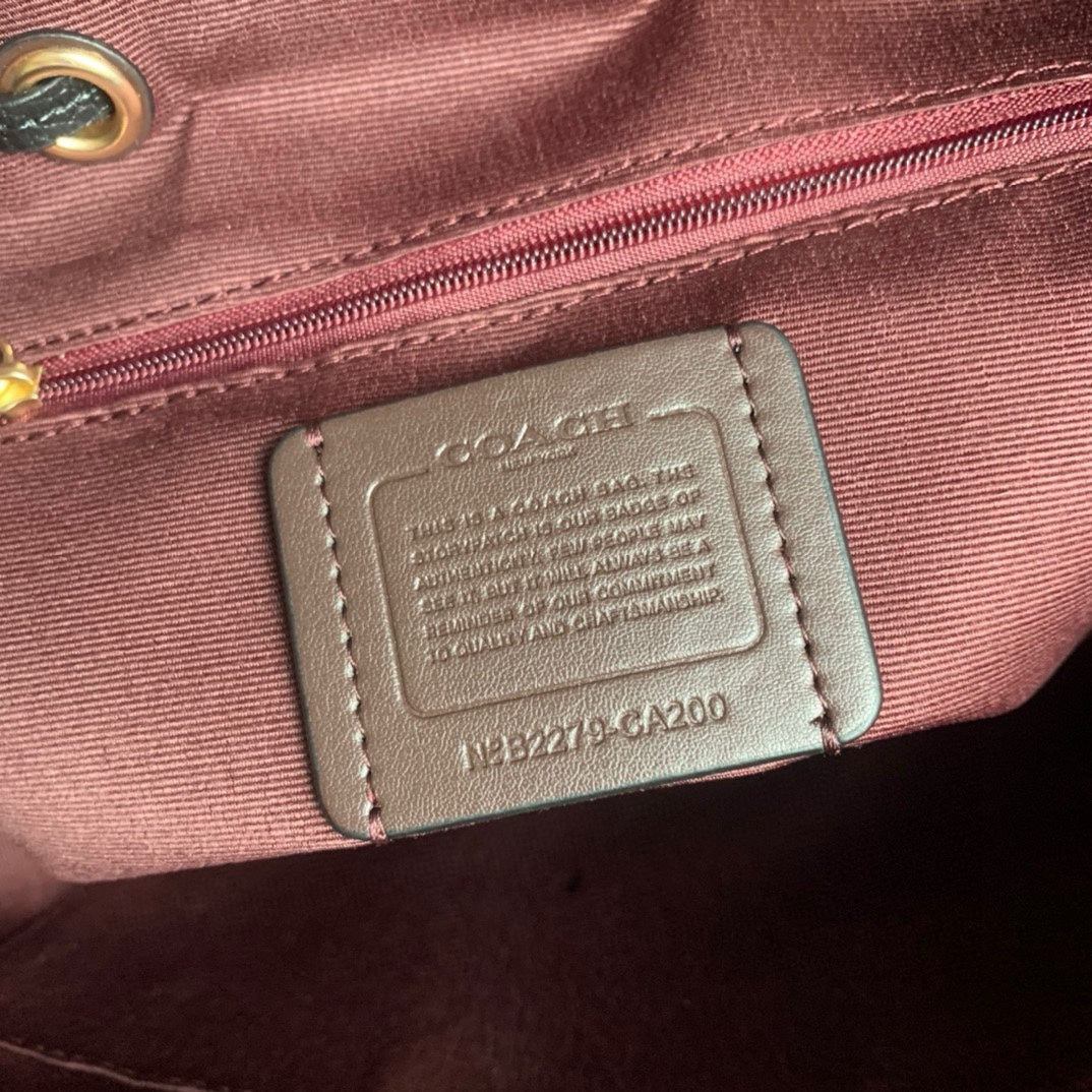 LuxluxHouse Best Quality Bags Coach
