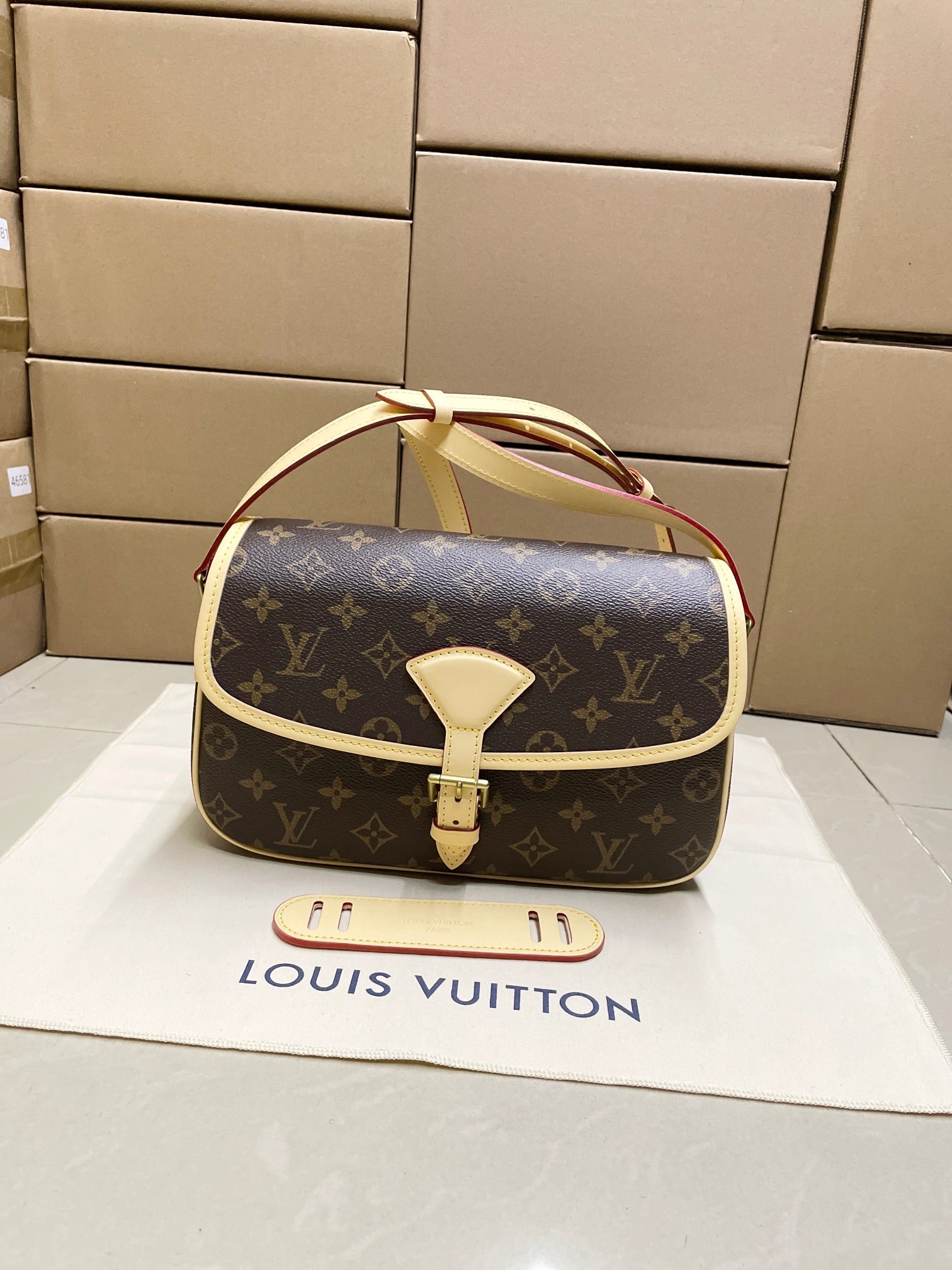 LuxluxHouse Best Quality Bags Louis Vuitton Women