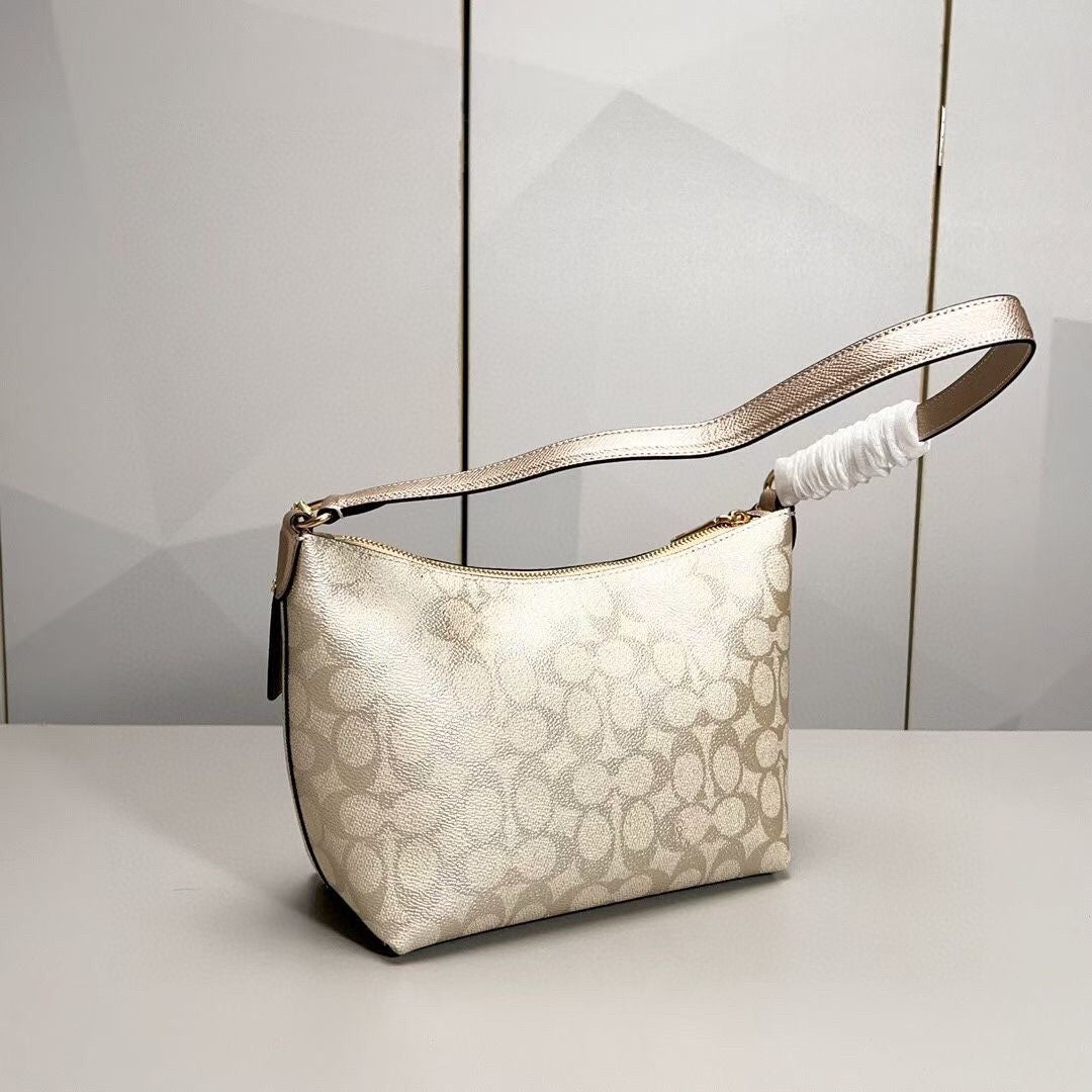 LuxluxHouse Best Quality Bags Coach