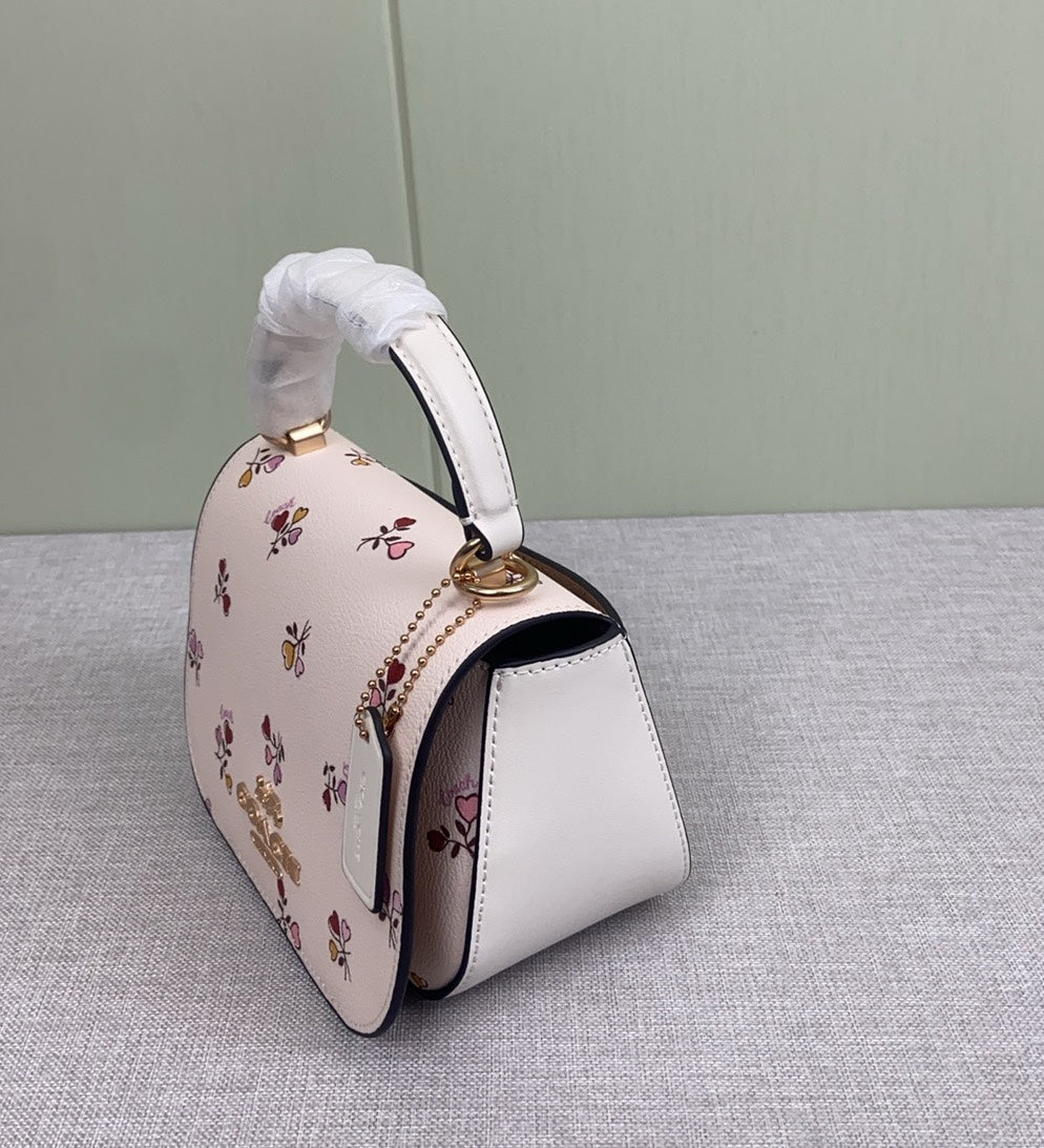 LuxluxHouse Best Quality Bags Coach