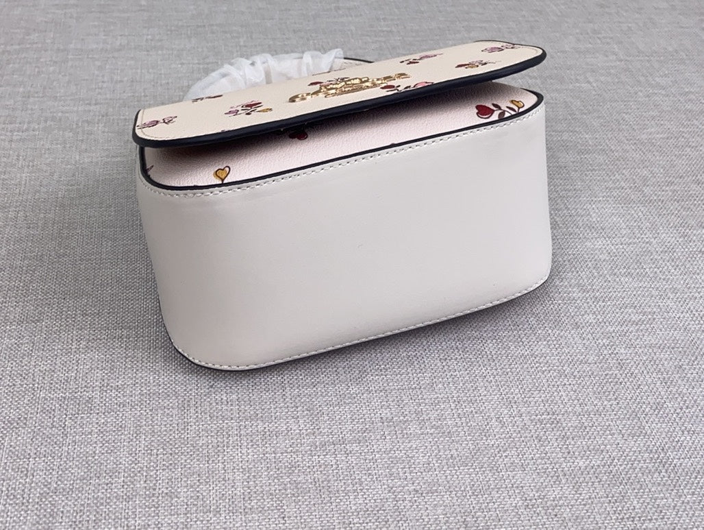 LuxluxHouse Best Quality Bags Coach