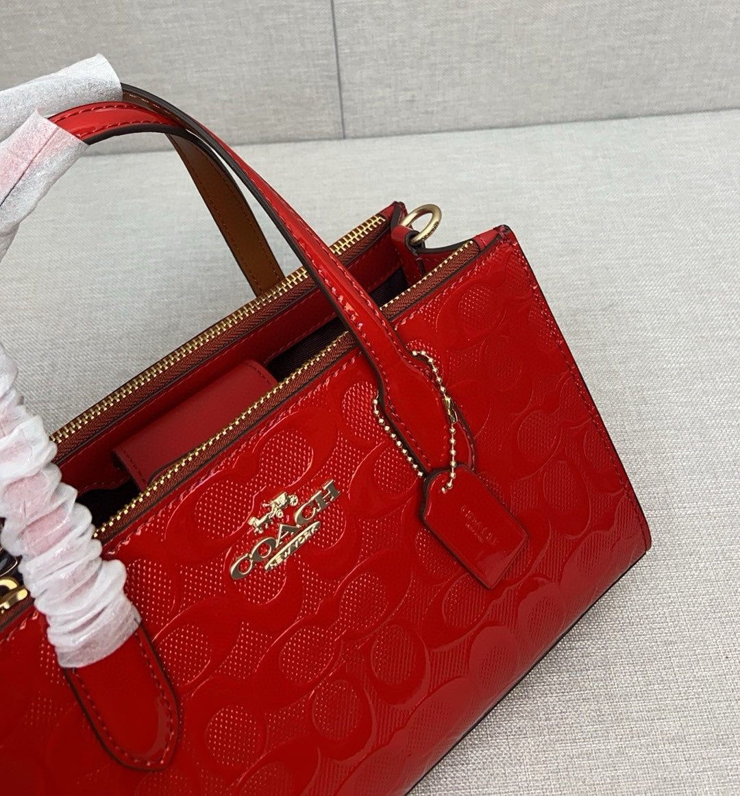 LuxluxHouse Best Quality Bags Coach