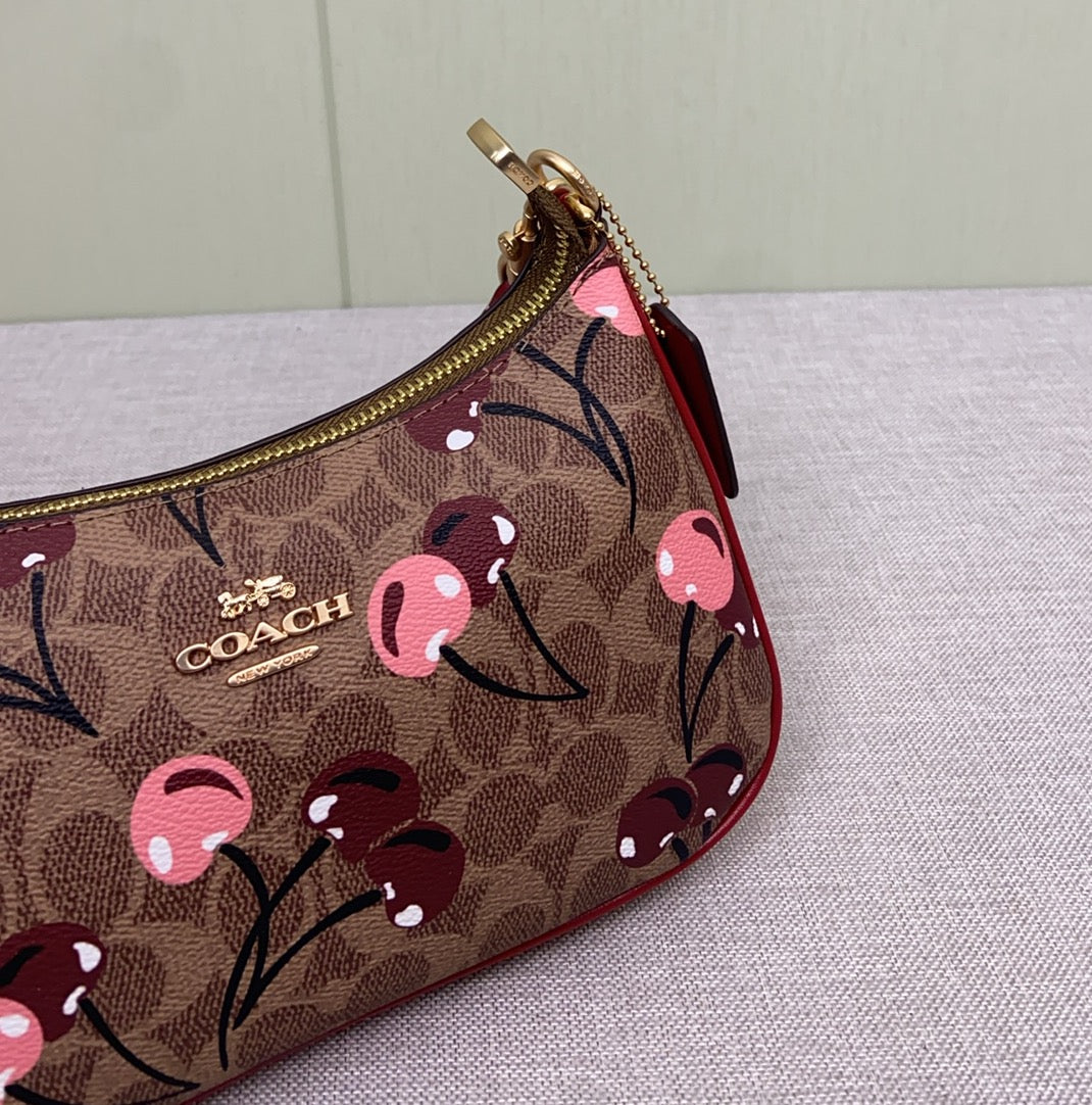 LuxluxHouse Best Quality Bags Coach