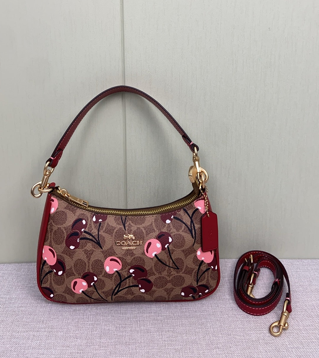 LuxluxHouse Best Quality Bags Coach