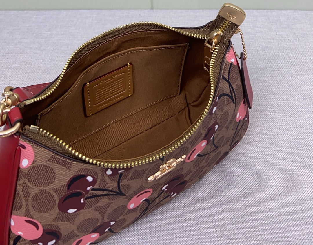 LuxluxHouse Best Quality Bags Coach
