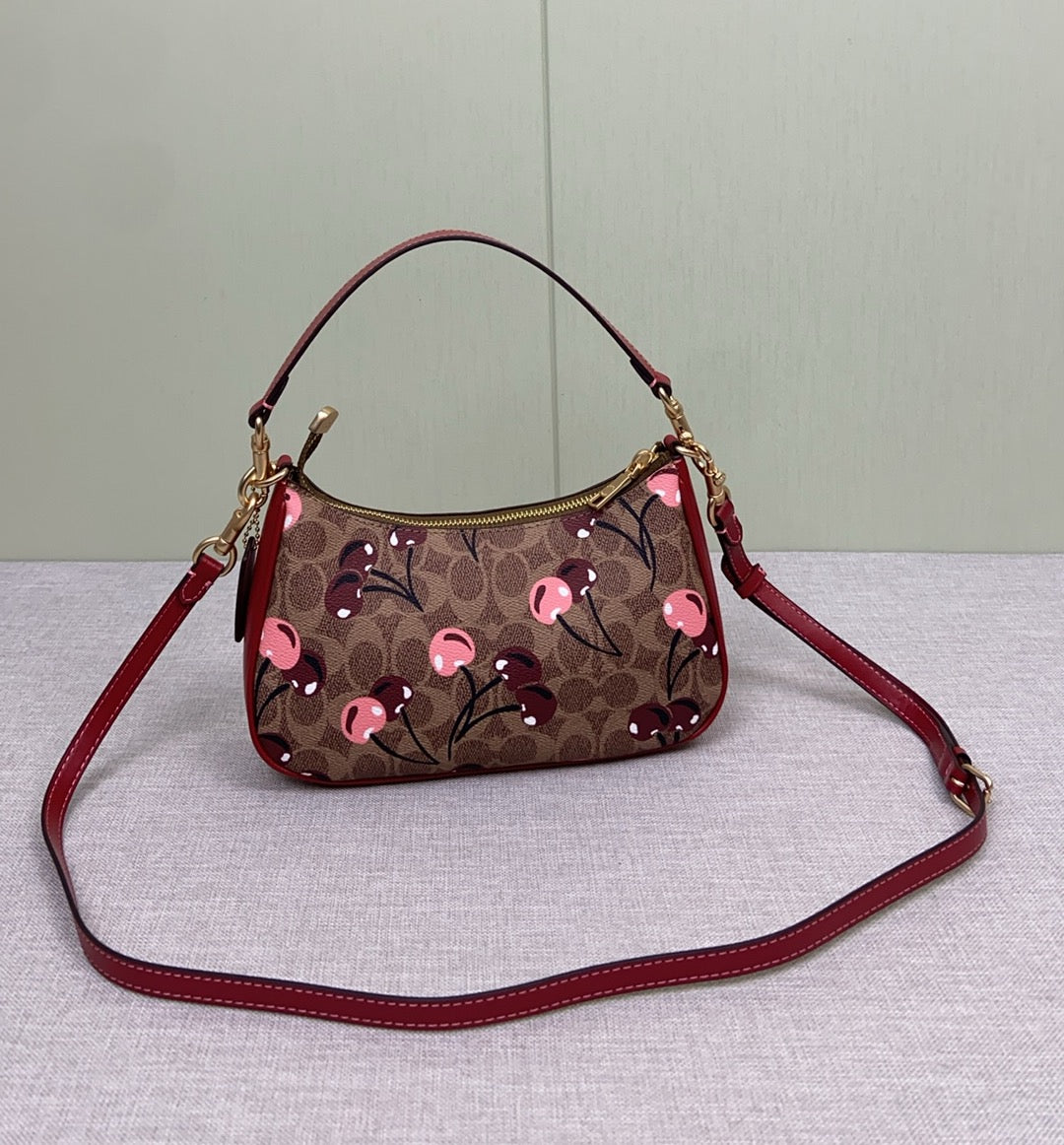 LuxluxHouse Best Quality Bags Coach
