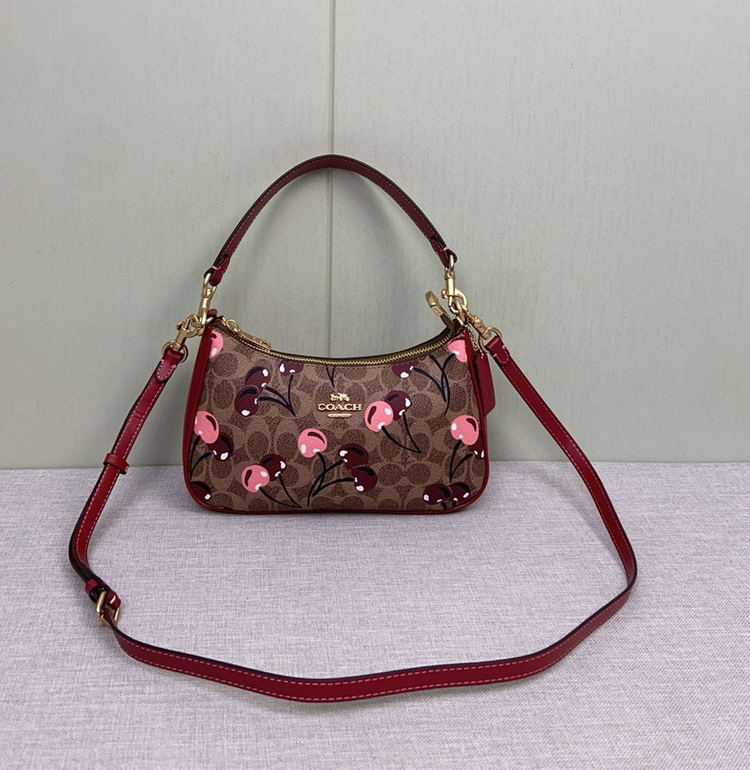 LuxluxHouse Best Quality Bags Coach