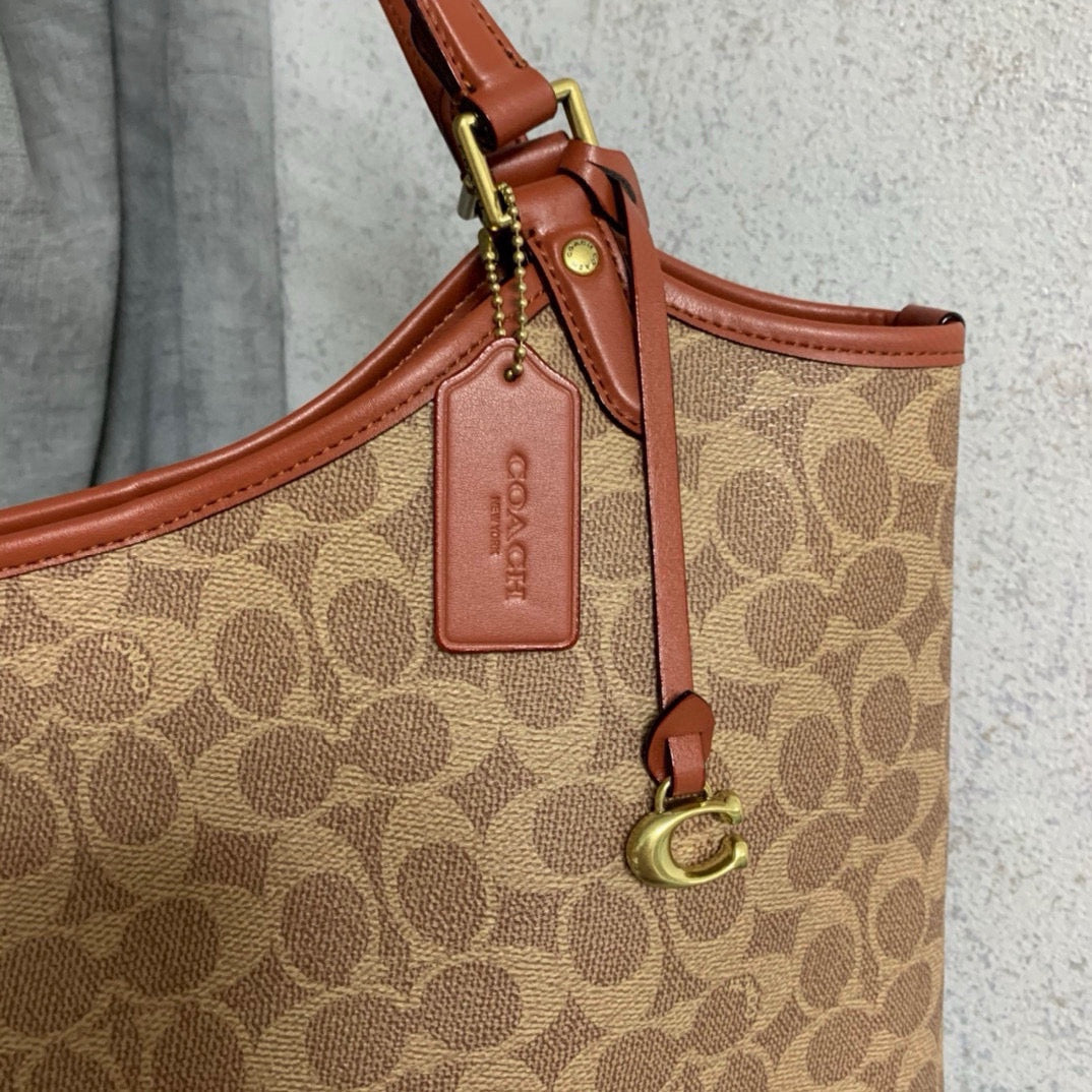 LuxluxHouse Best Quality Bags Coach