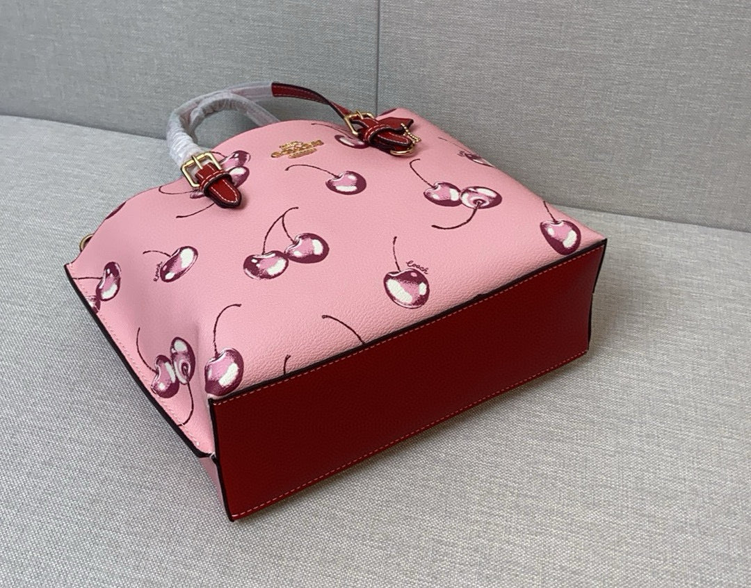 LuxluxHouse Best Quality Bags Coach