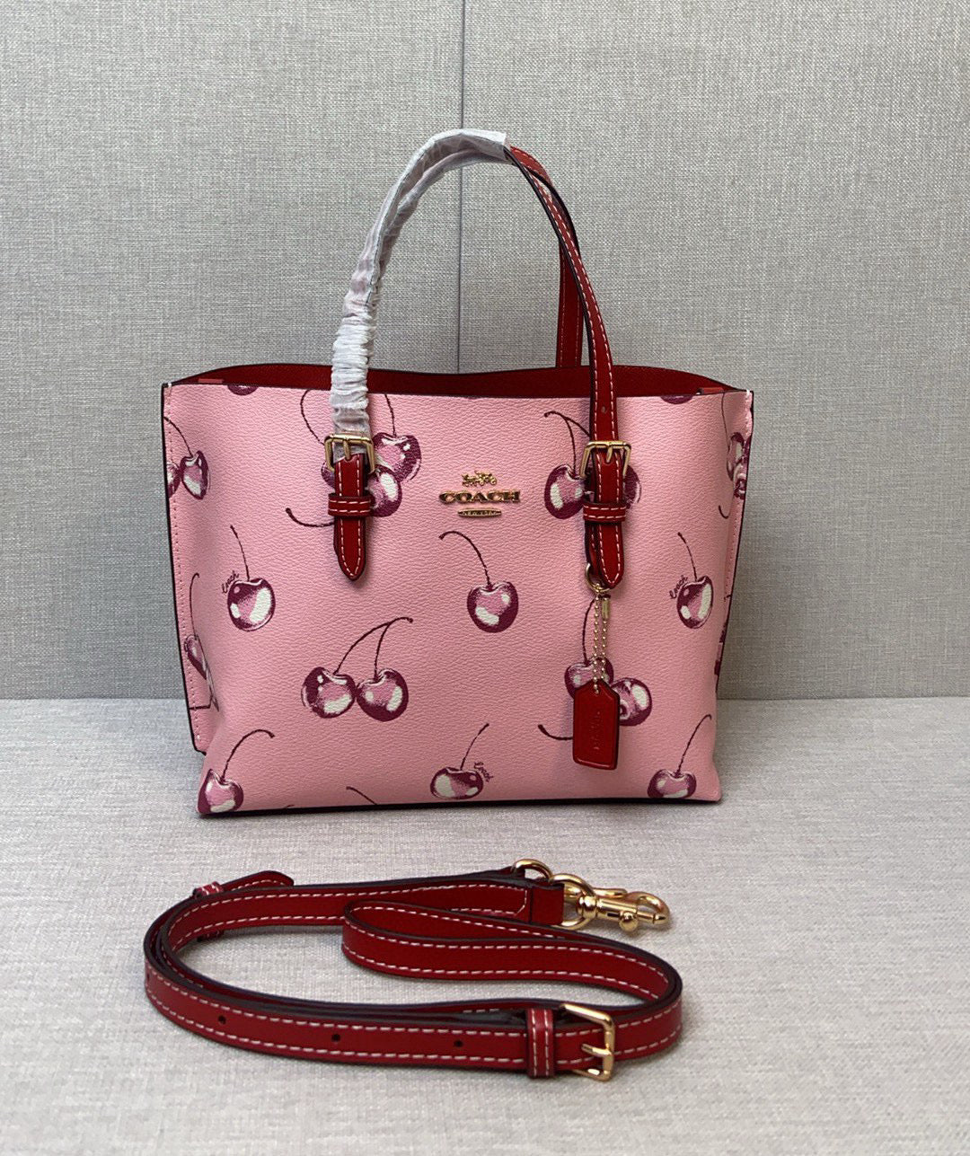LuxluxHouse Best Quality Bags Coach