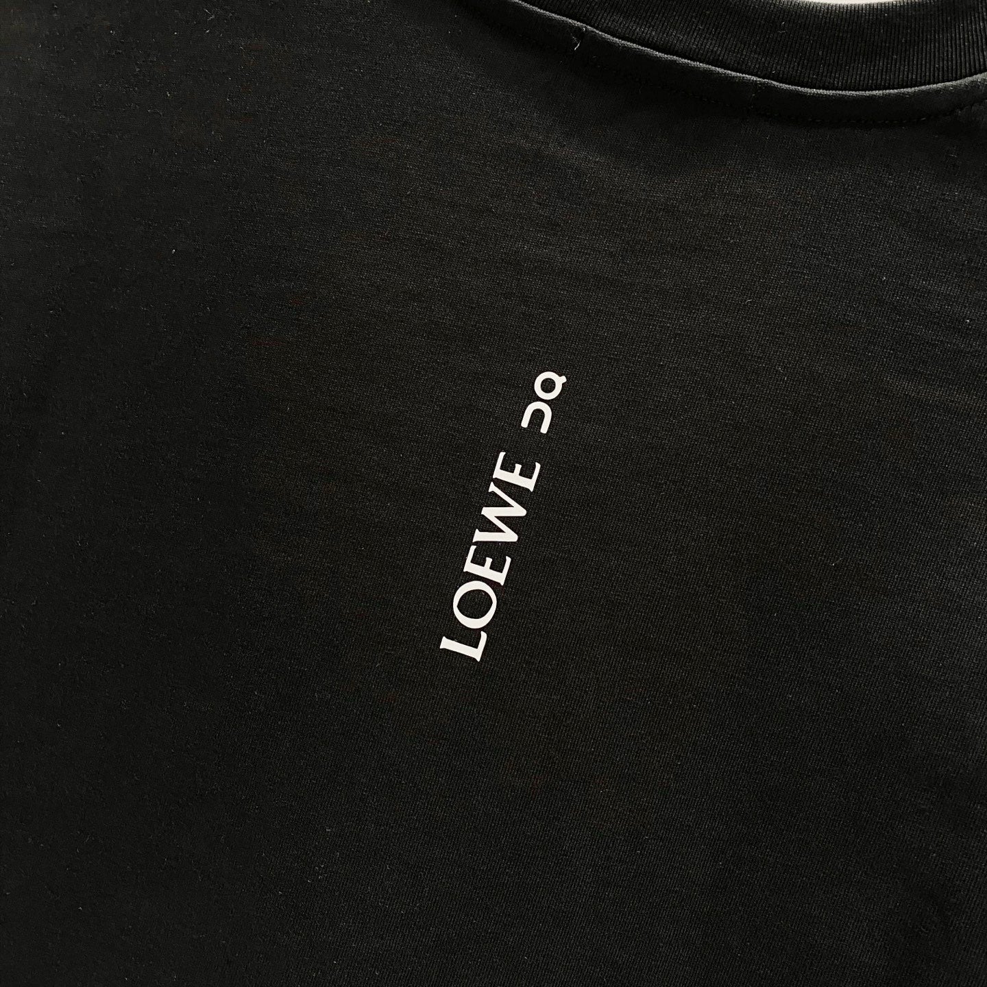 LuxluxHouse Best Quality Clothes T-shirt Loewe