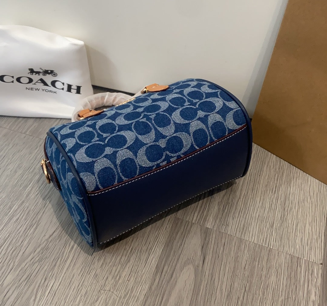 LuxluxHouse Best Quality Bags Coach