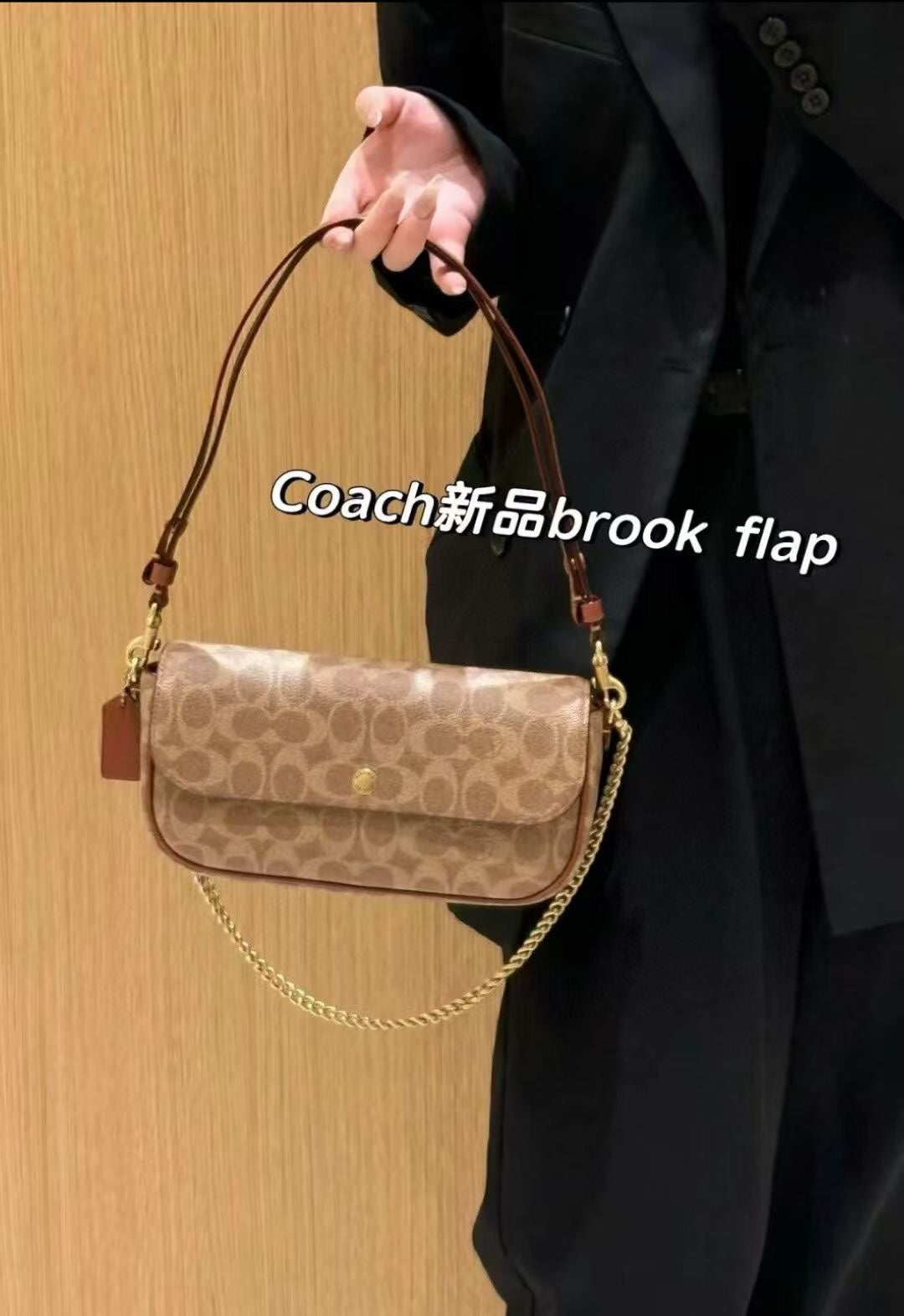 LuxluxHouse Best Quality Bags Coach