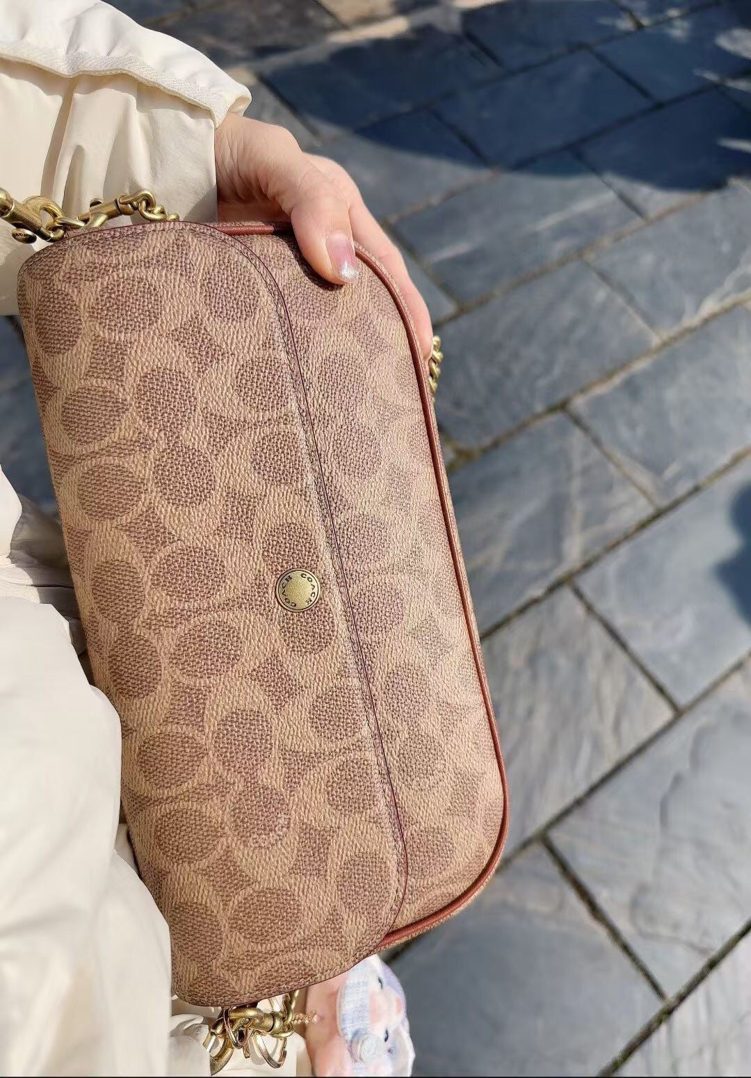 LuxluxHouse Best Quality Bags Coach