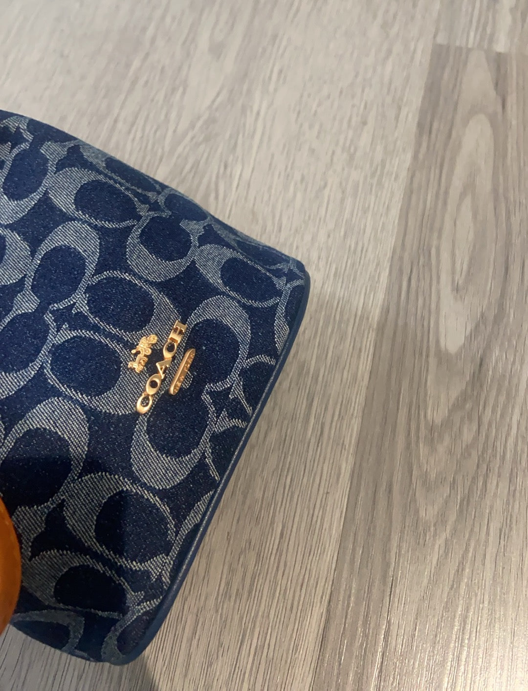 LuxluxHouse Best Quality Bags Coach
