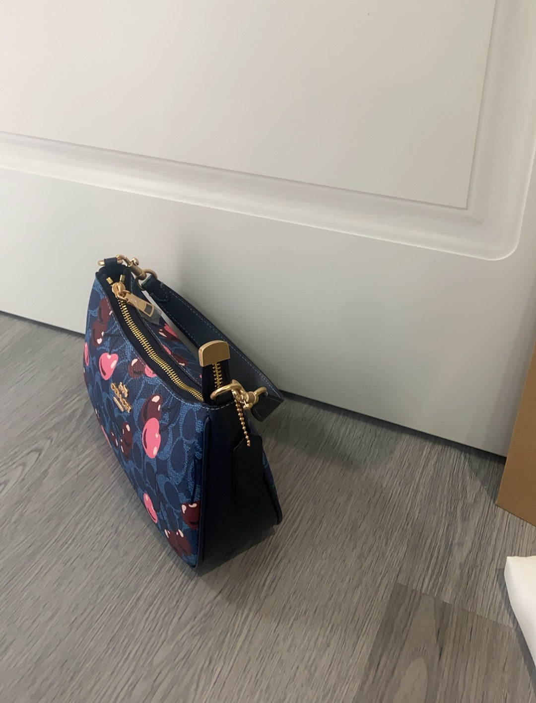 LuxluxHouse Best Quality Bags Coach