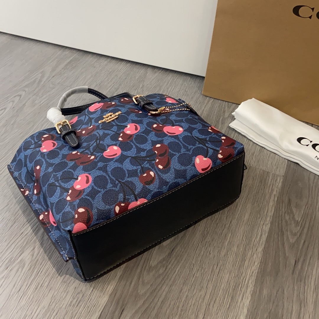 LuxluxHouse Best Quality Bags Coach