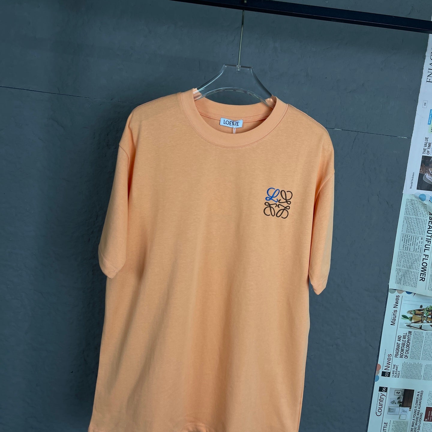 LuxluxHouse Best Quality Clothes T-shirt Loewe