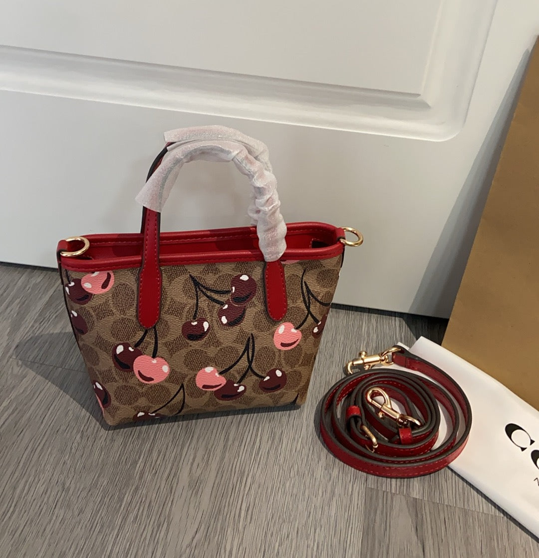 LuxluxHouse Best Quality Bags Coach