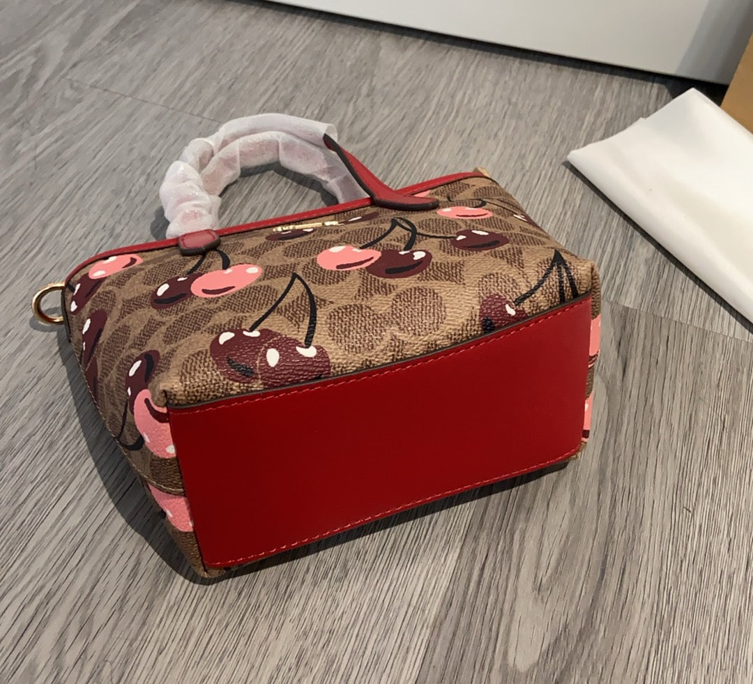 LuxluxHouse Best Quality Bags Coach