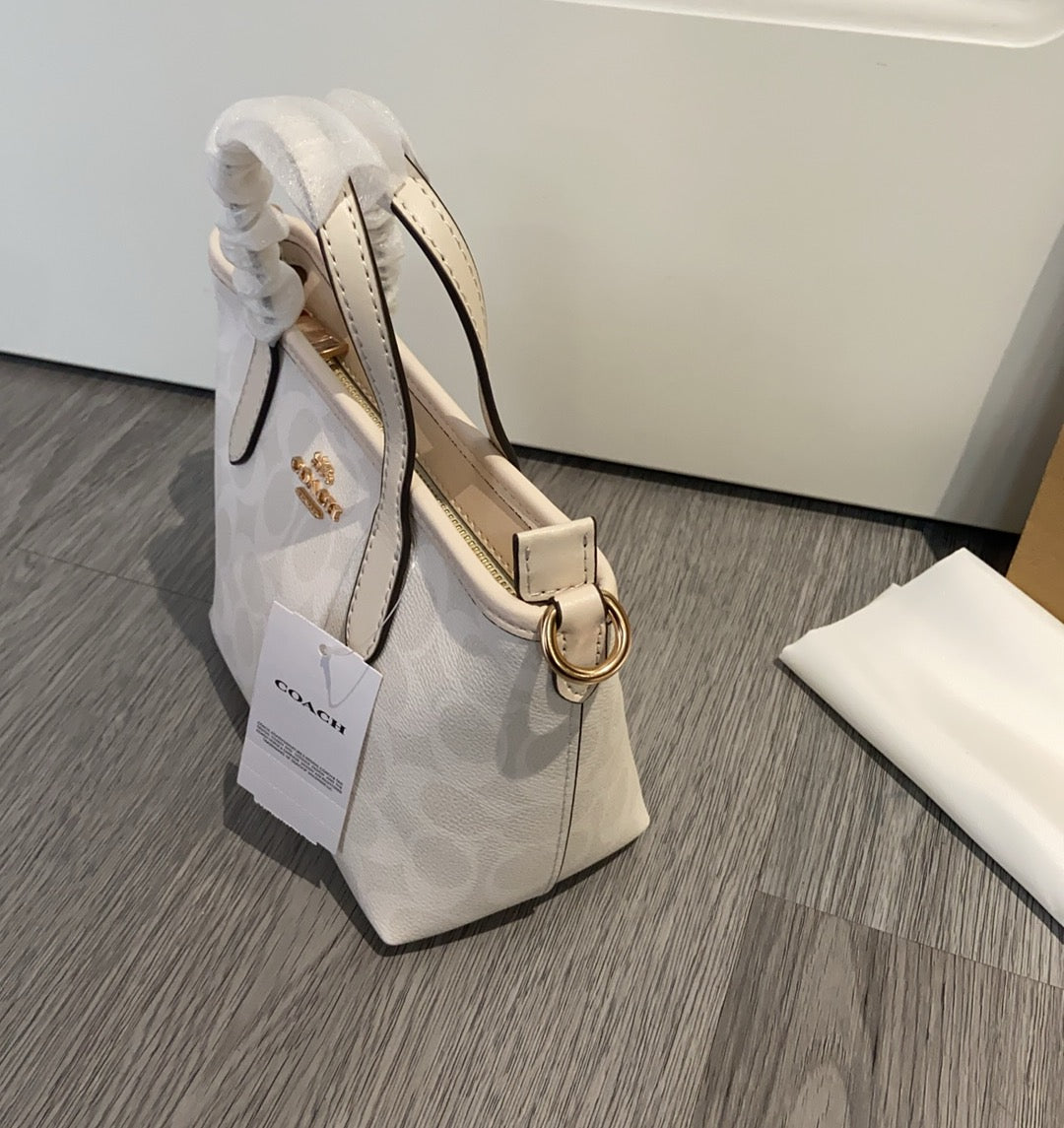 LuxluxHouse Best Quality Bags Coach