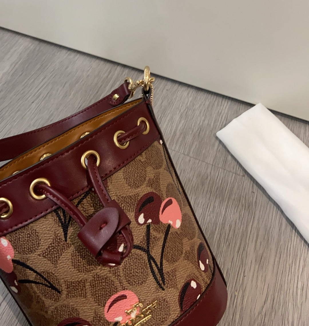 LuxluxHouse Best Quality Bags Coach