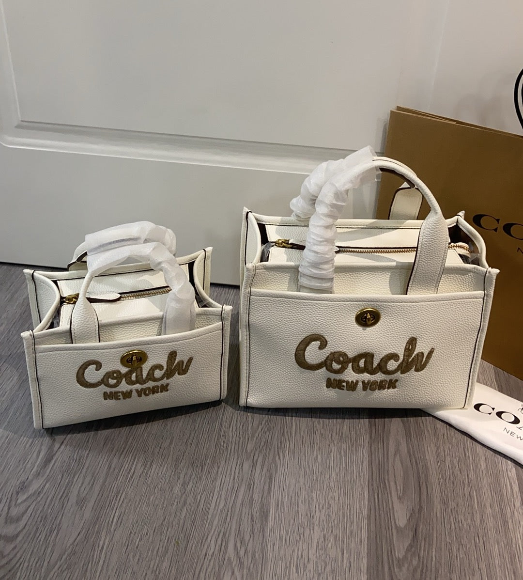 LuxluxHouse Best Quality Bags Coach