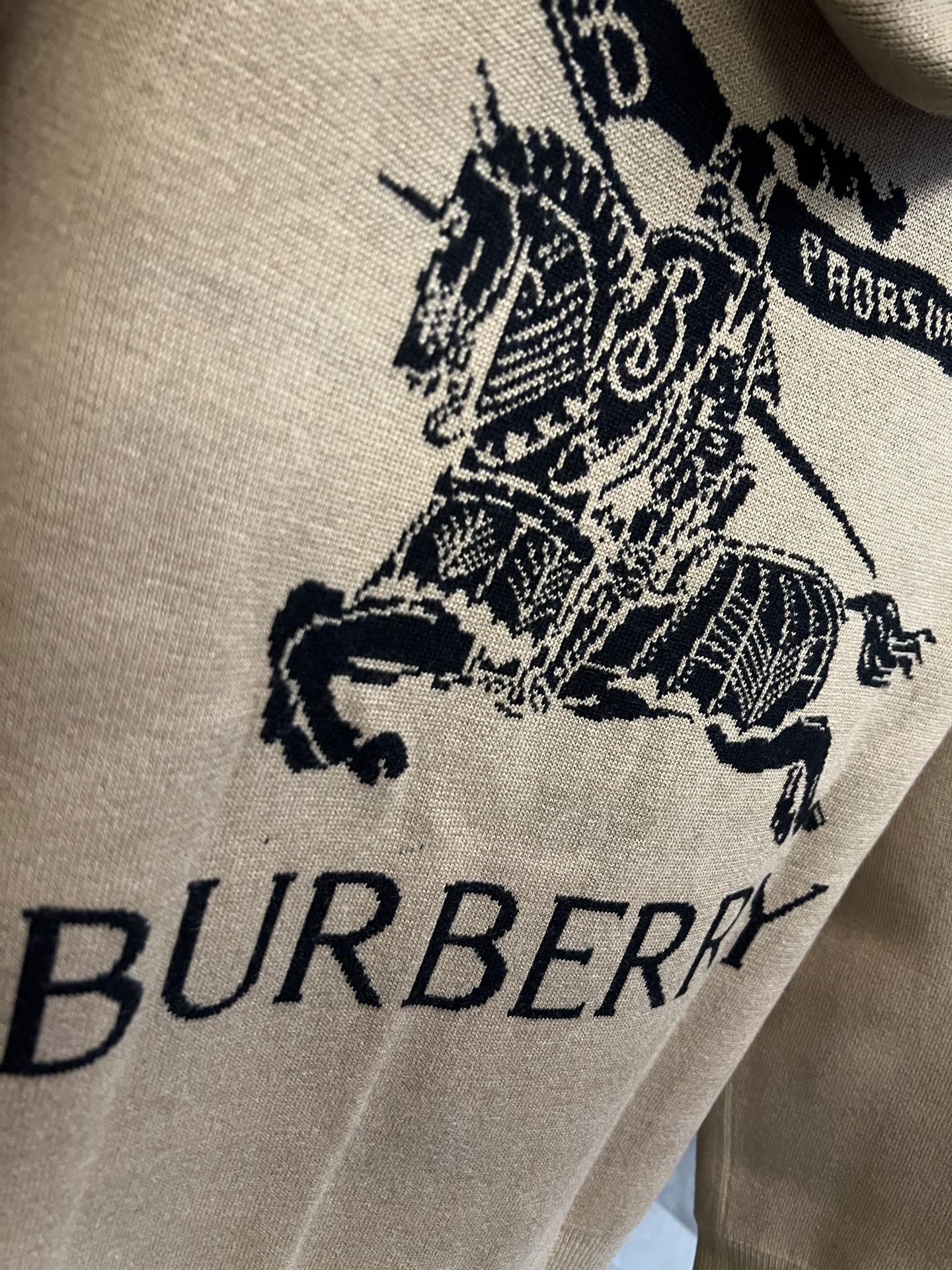 LuxluxHouse Best Quality Clothes Burberry Hoodie & Sweater