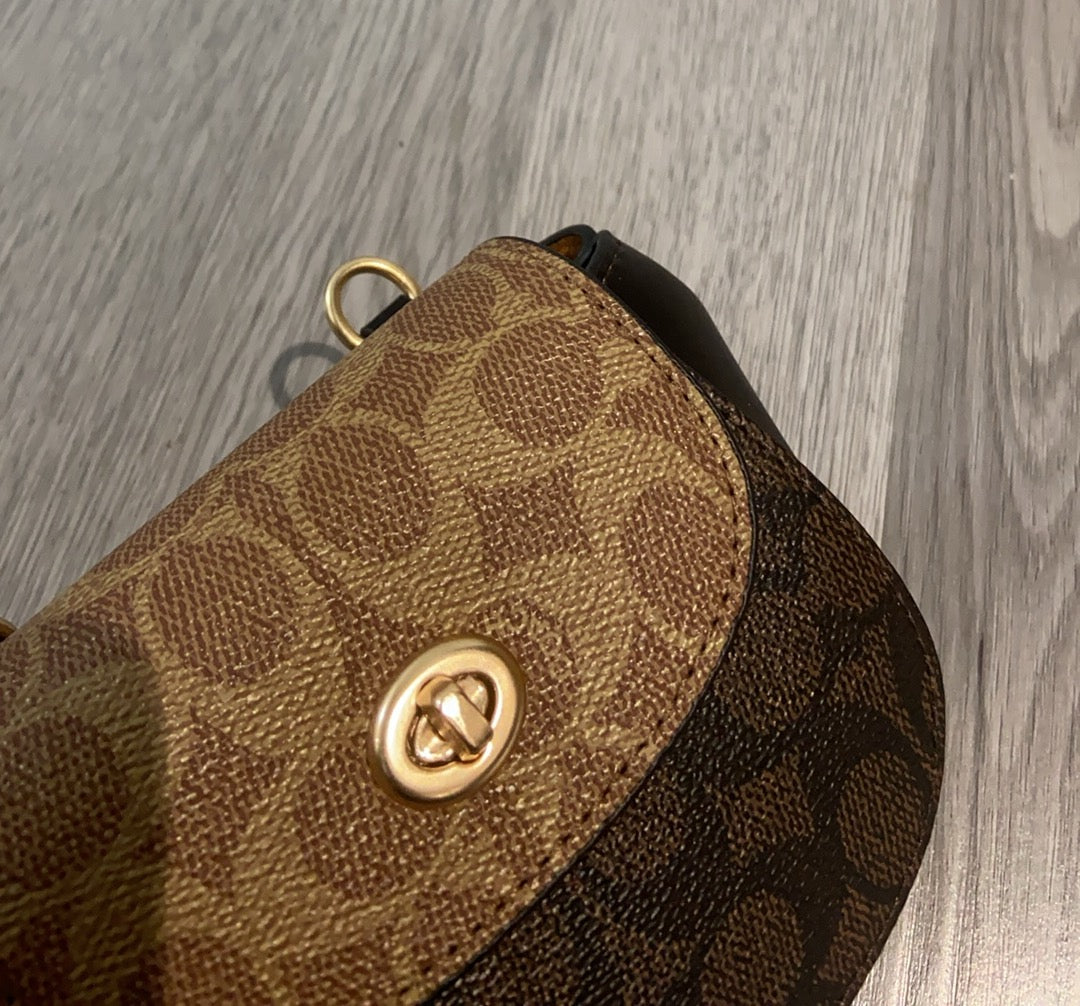 LuxluxHouse Best Quality Bags Coach