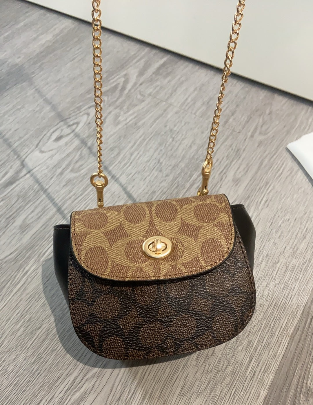LuxluxHouse Best Quality Bags Coach