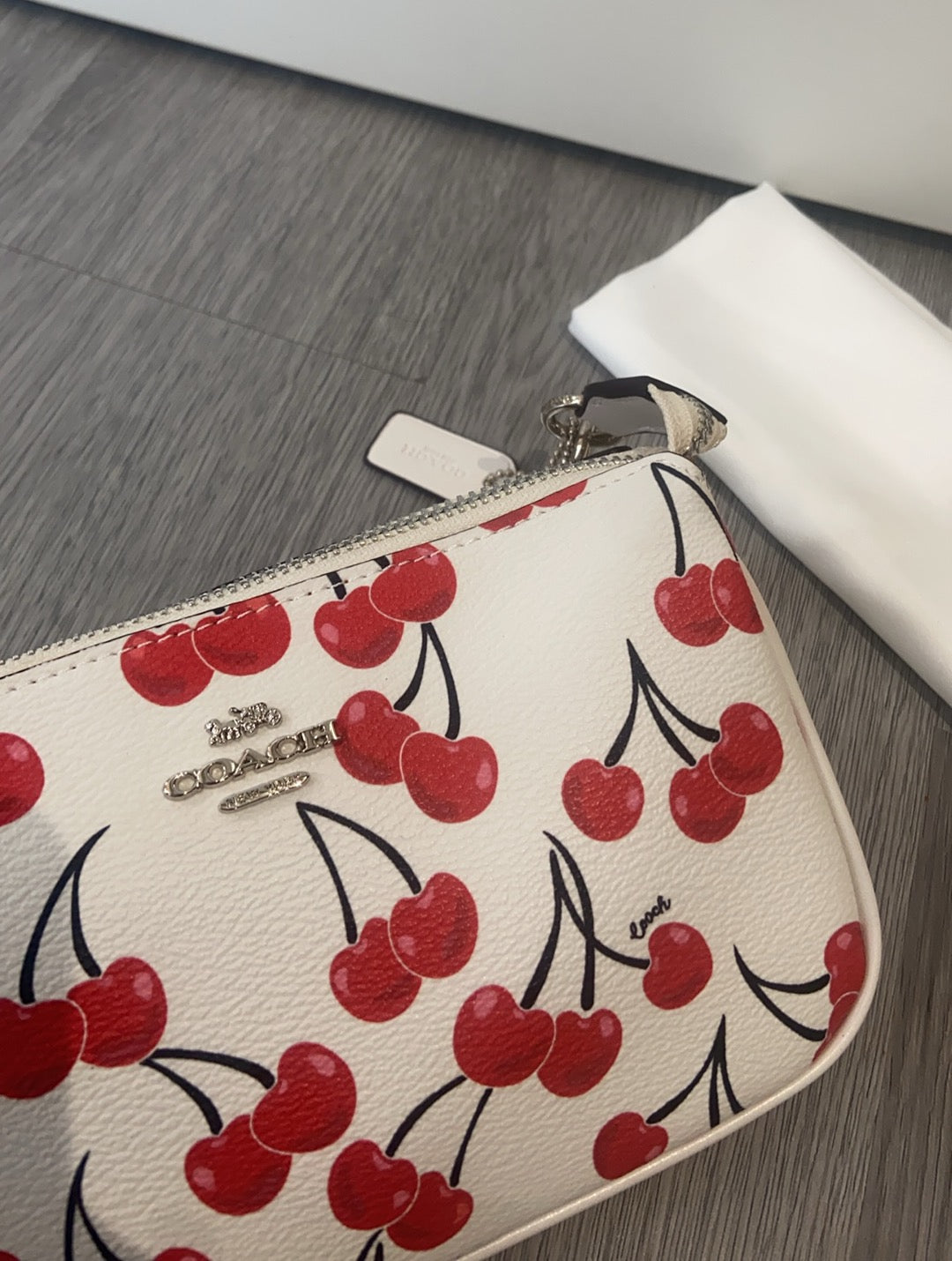 LuxluxHouse Best Quality Bags Coach