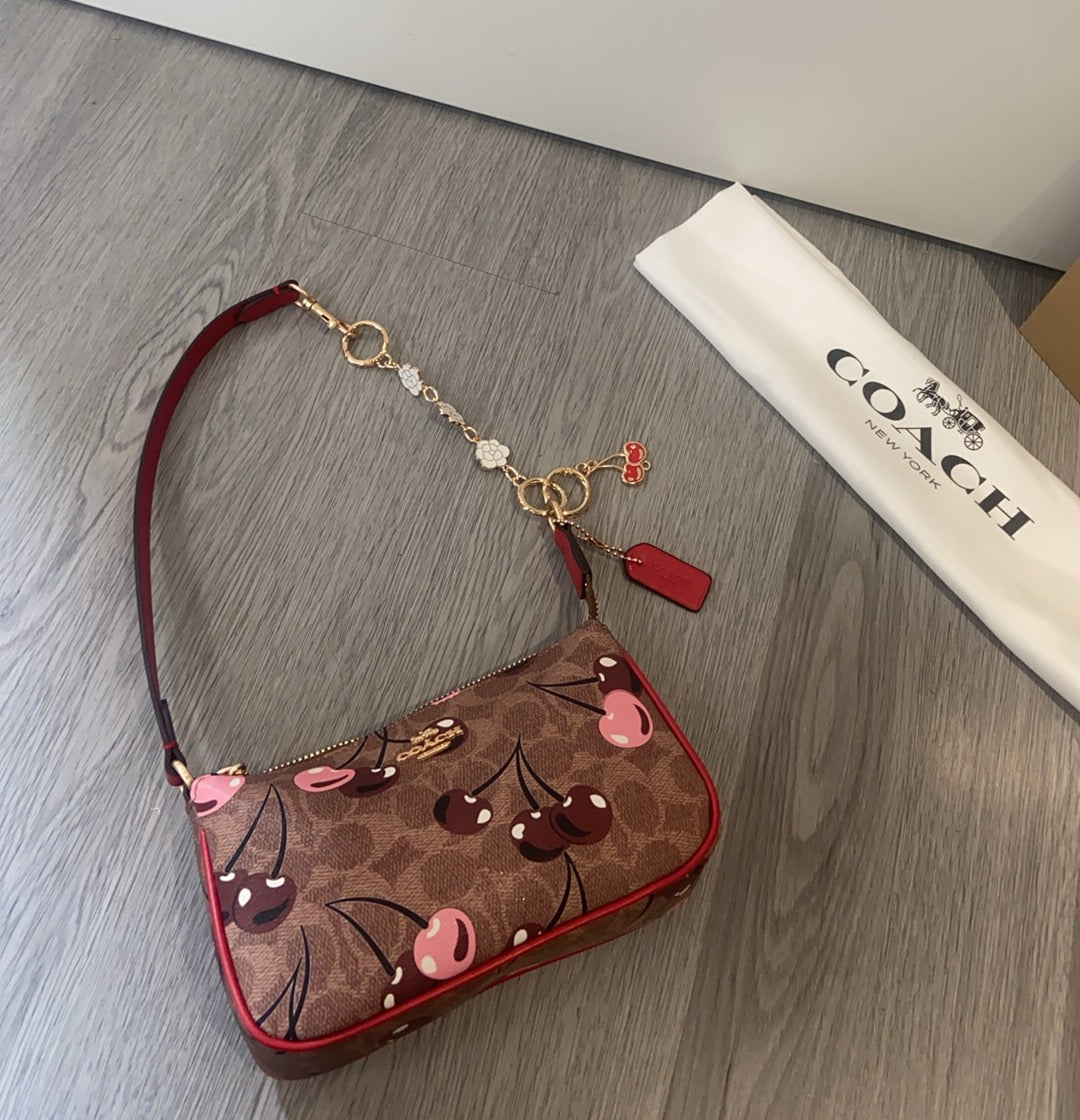 LuxluxHouse Best Quality Bags Coach