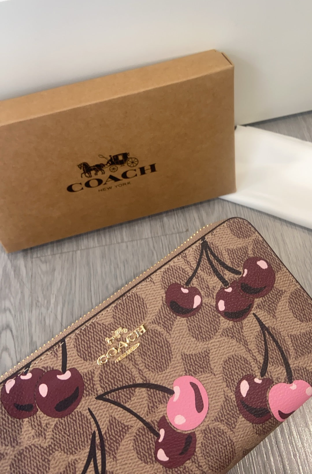 LuxluxHouse Best Quality Bags Coach