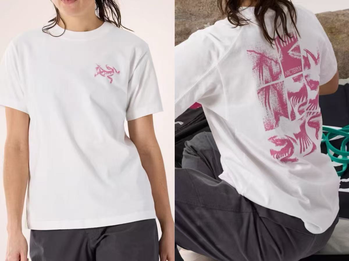 LuxluxHouse Best Quality Clothes T-shirt Arcteryx