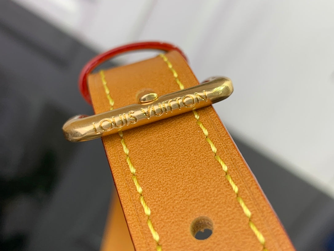 LuxluxHouse Best Quality Bags Louis Vuitton Men