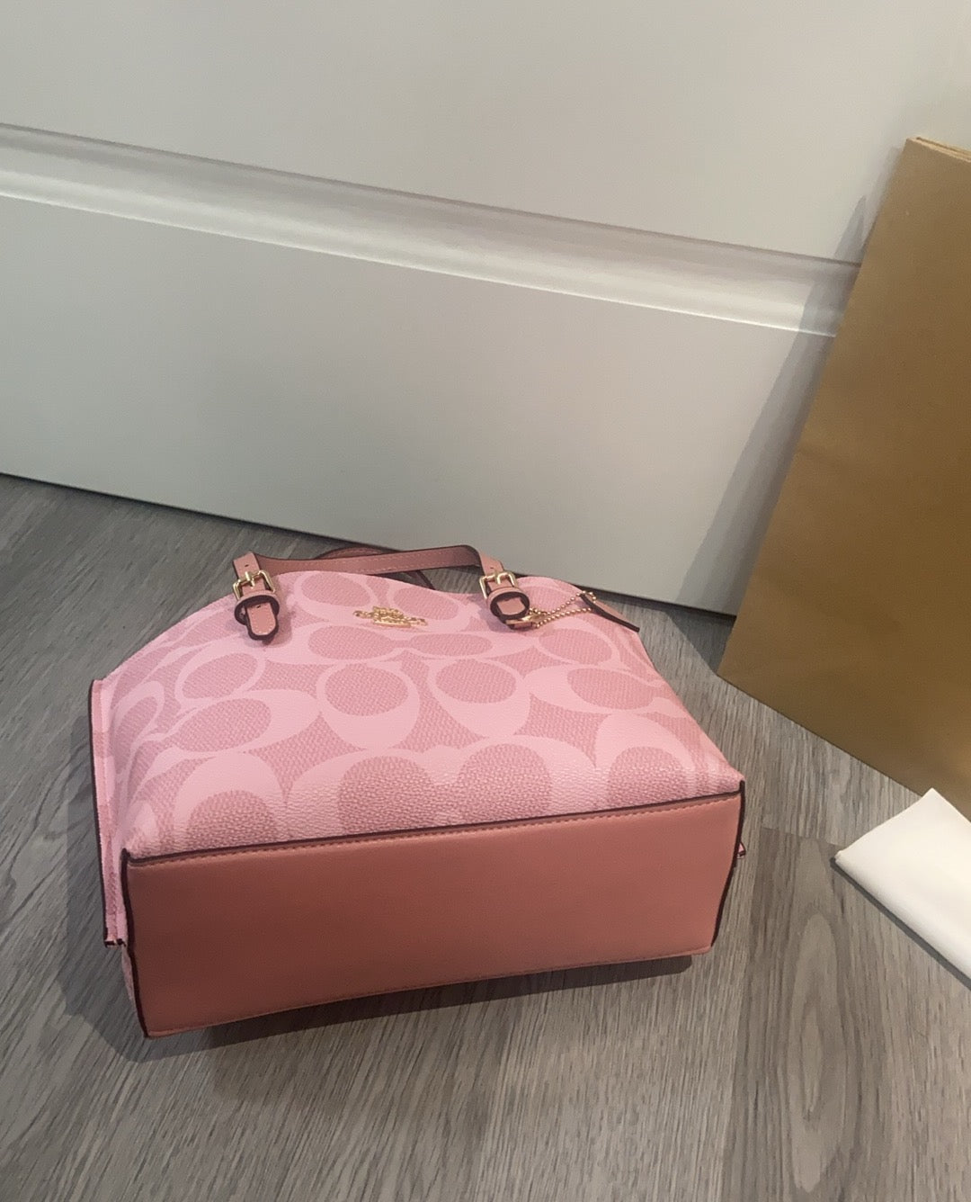 LuxluxHouse Best Quality Bags Coach