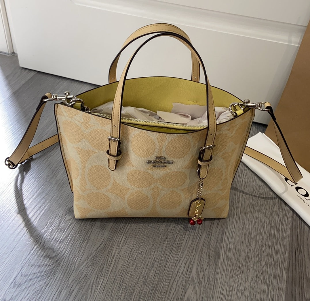 LuxluxHouse Best Quality Bags Coach