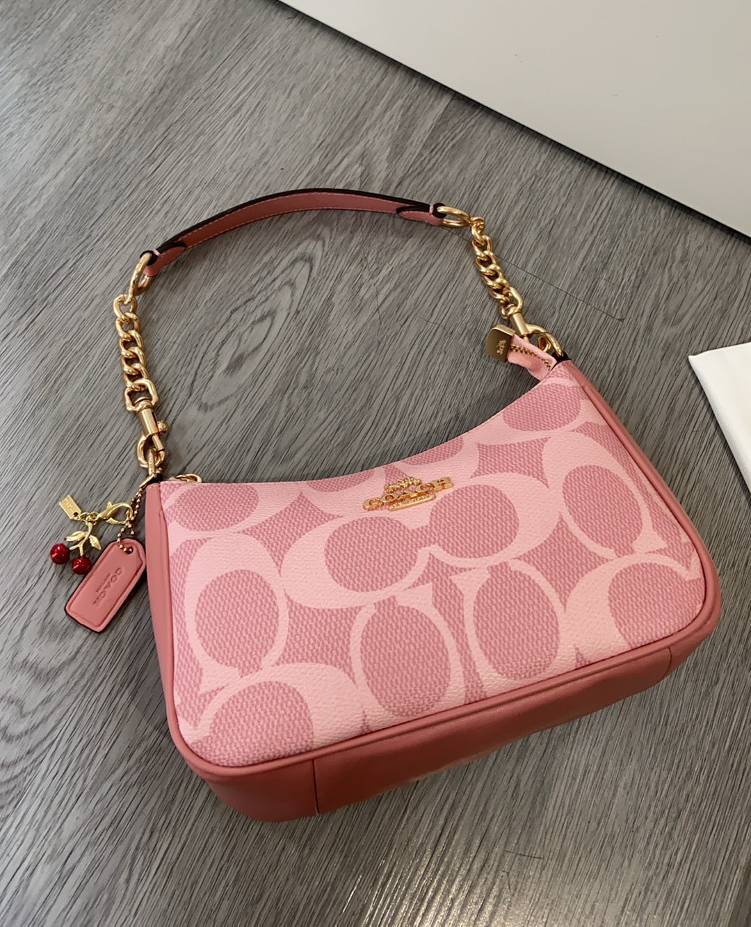 LuxluxHouse Best Quality Bags Coach