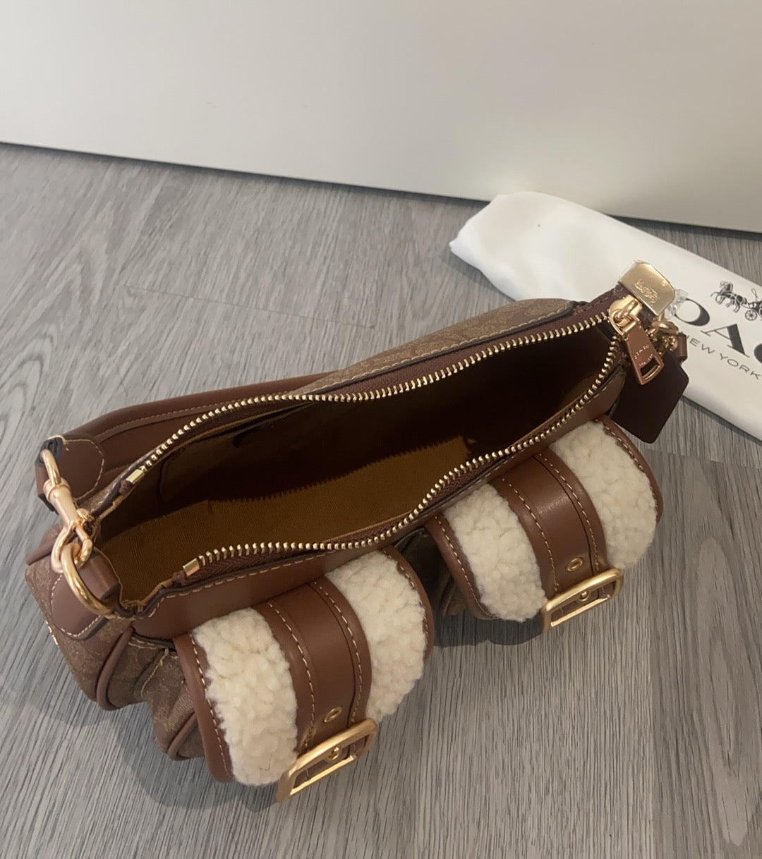 LuxluxHouse Best Quality Bags Coach