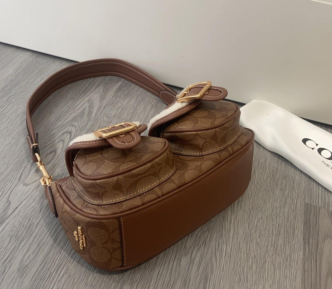 LuxluxHouse Best Quality Bags Coach