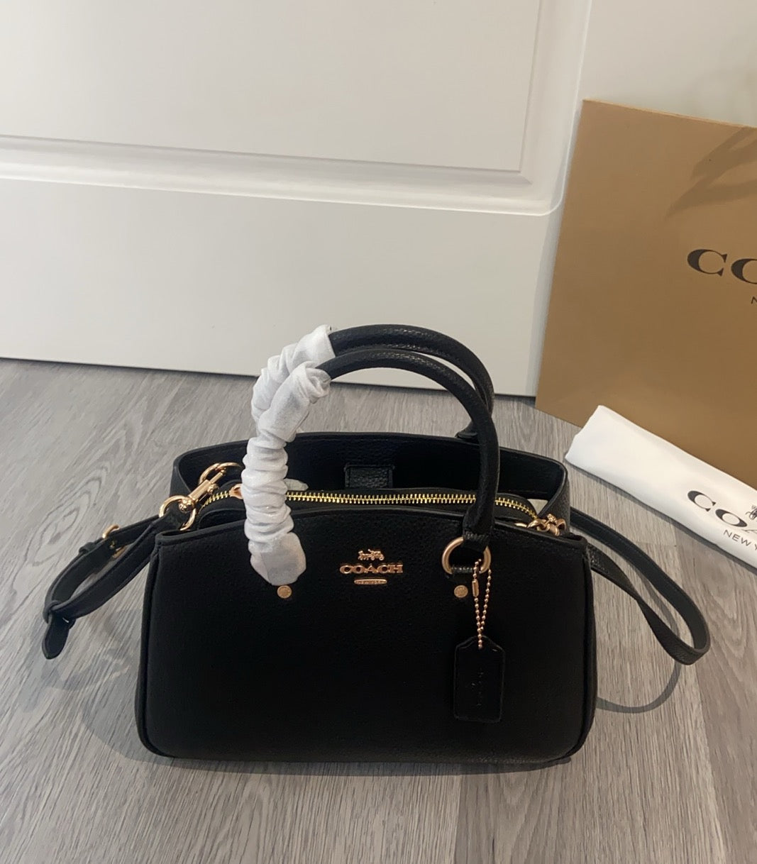LuxluxHouse Best Quality Bags Coach